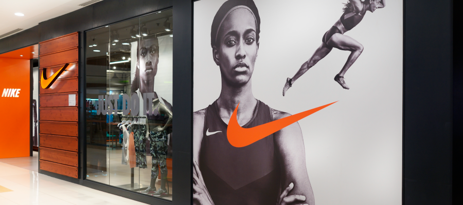 Imagen de Vinilo polimérico Premium